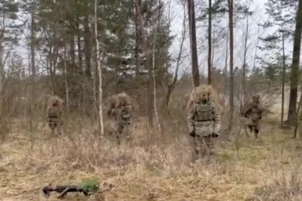 Video binh sĩ Ukraine ngụy trang thành người vô hình để che mắt quân Nga - Ảnh 3.