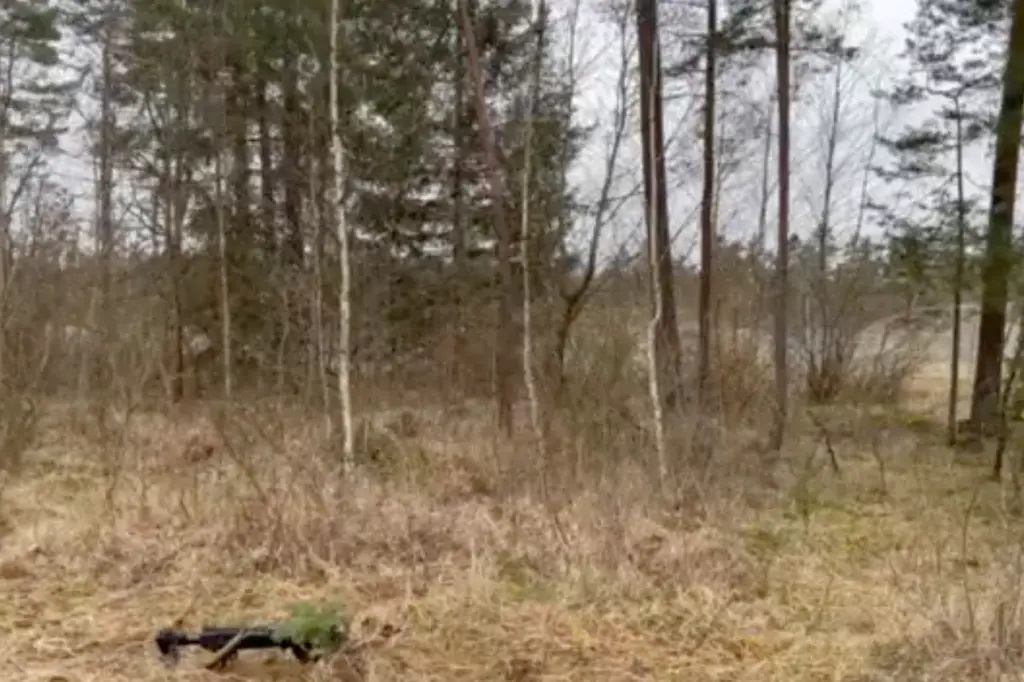 Video binh sĩ Ukraine ngụy trang thành người vô hình để che mắt quân Nga - Ảnh 2.