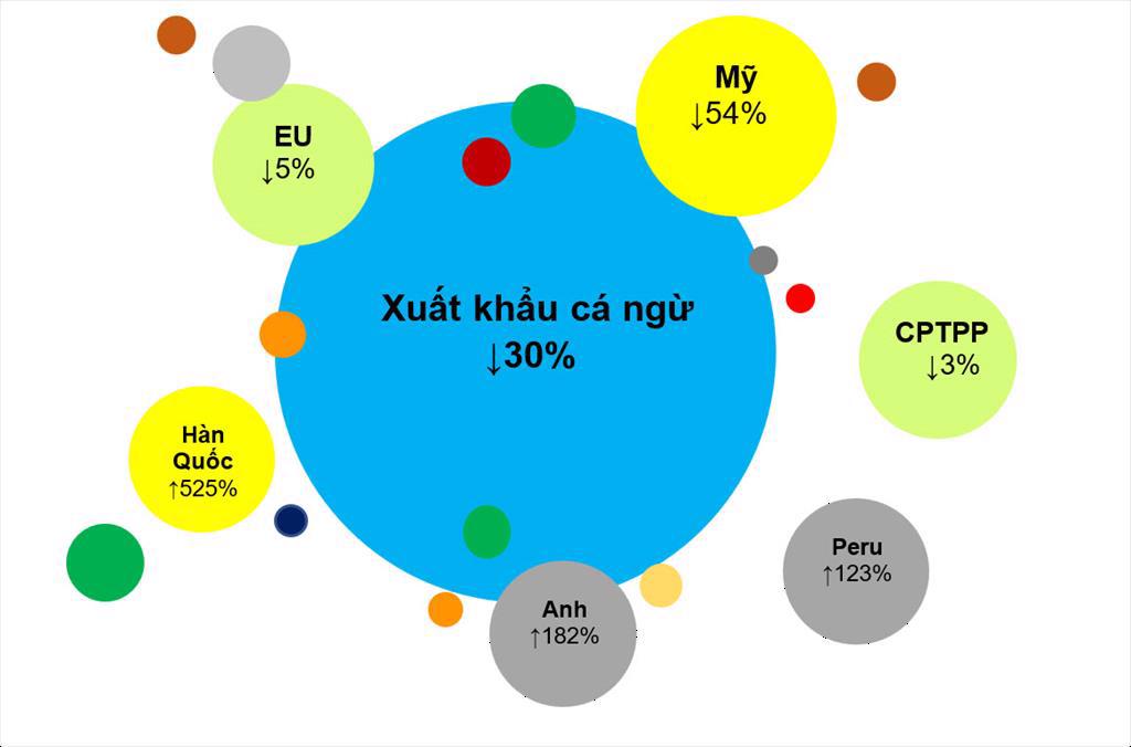 Xuất khẩu cá ngừ sang thị trường nhỏ bất ngờ tăng vọt - Ảnh 1.