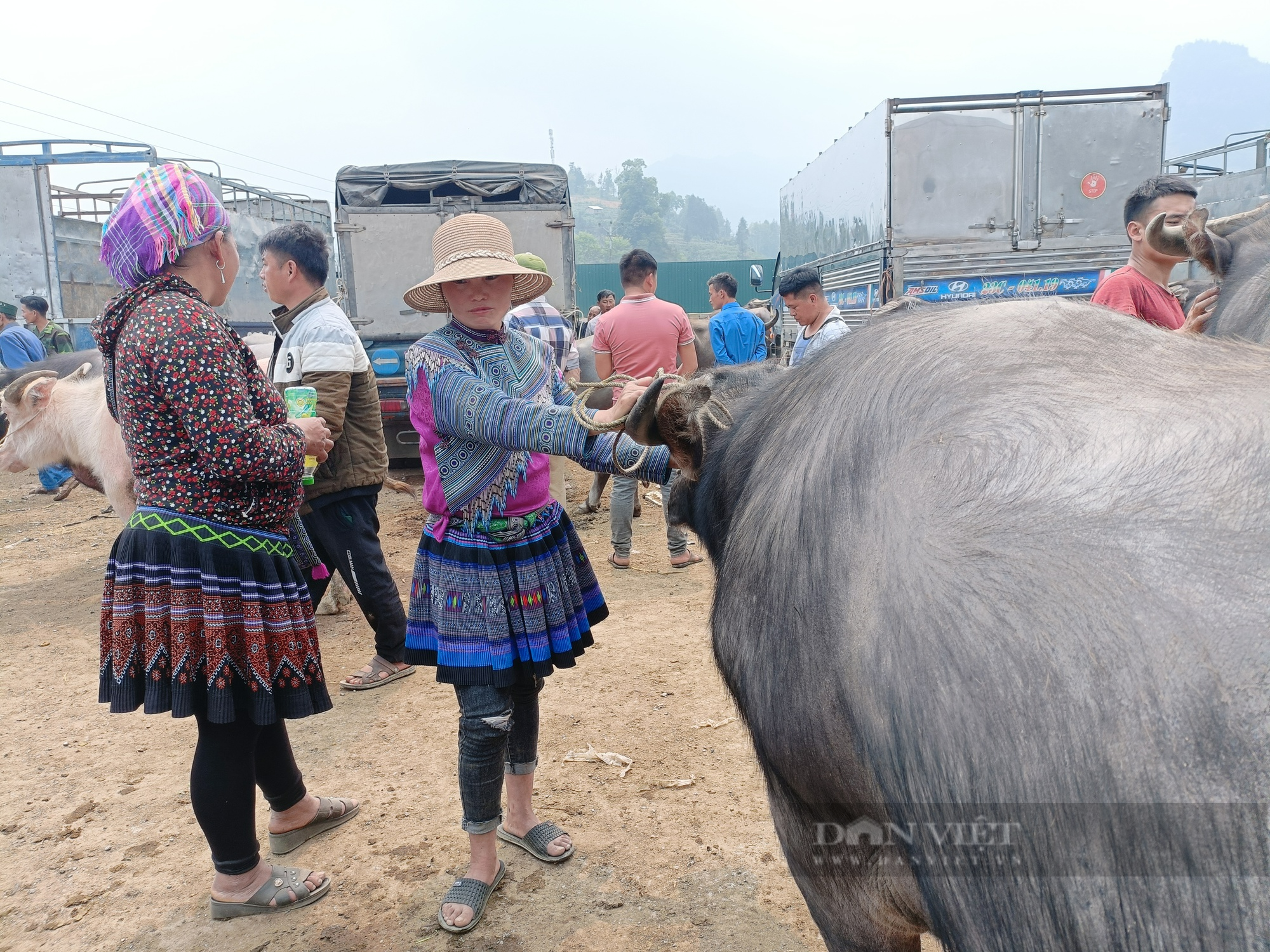 Lào Cai: Phiên chợ trâu lớn nhất Tây Bắc - Ảnh 5.