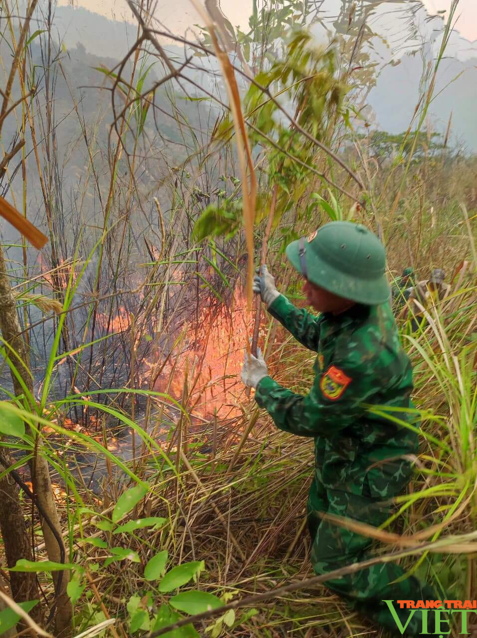 Khống chế thành công điểm cháy rừng ở biên giới Sơn La - Ảnh 3.