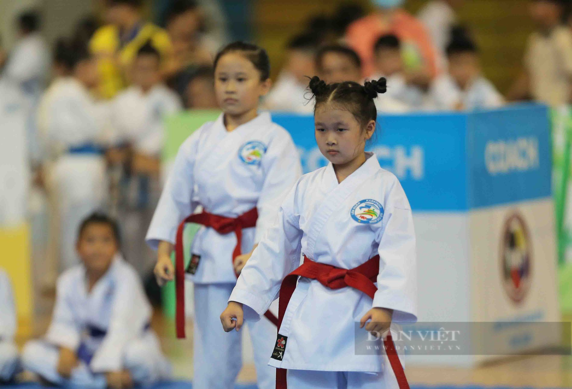 Ấn tượng những màn trình diễn siêu cute của các võ sĩ karate nhí - Ảnh 5.