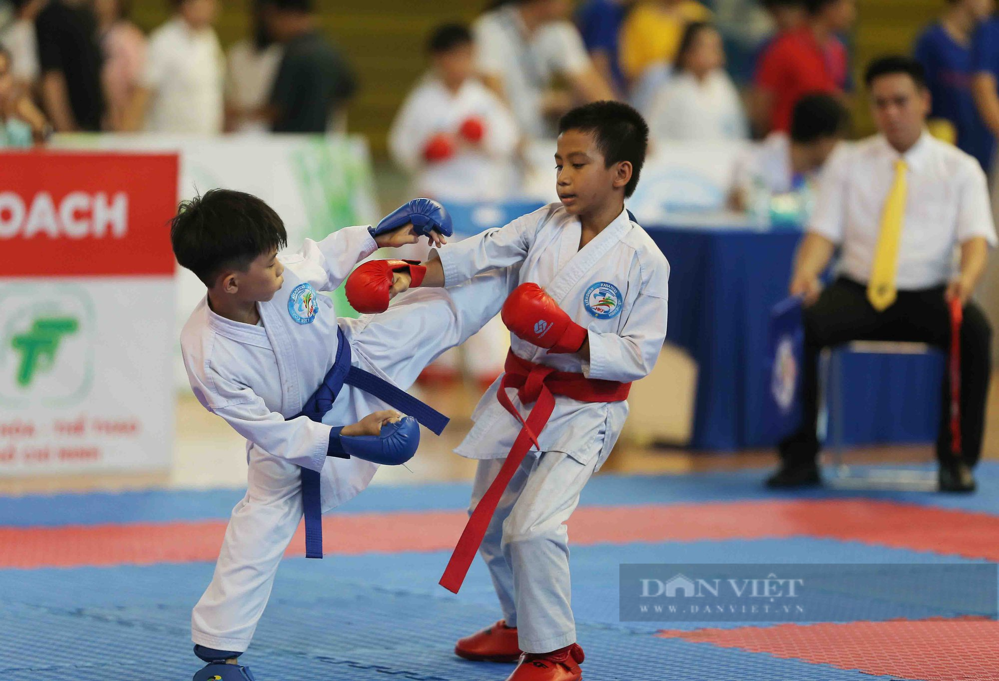 Ấn tượng những màn trình diễn siêu cute của các võ sĩ karate nhí - Ảnh 14.
