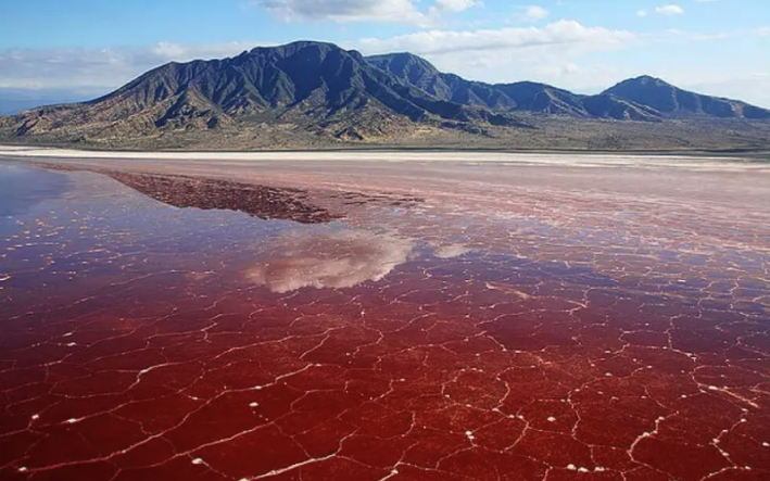 Hồ nước chết chóc nhất thế giới, đỏ như máu, biến xác động vật hóa đá - Ảnh 1.