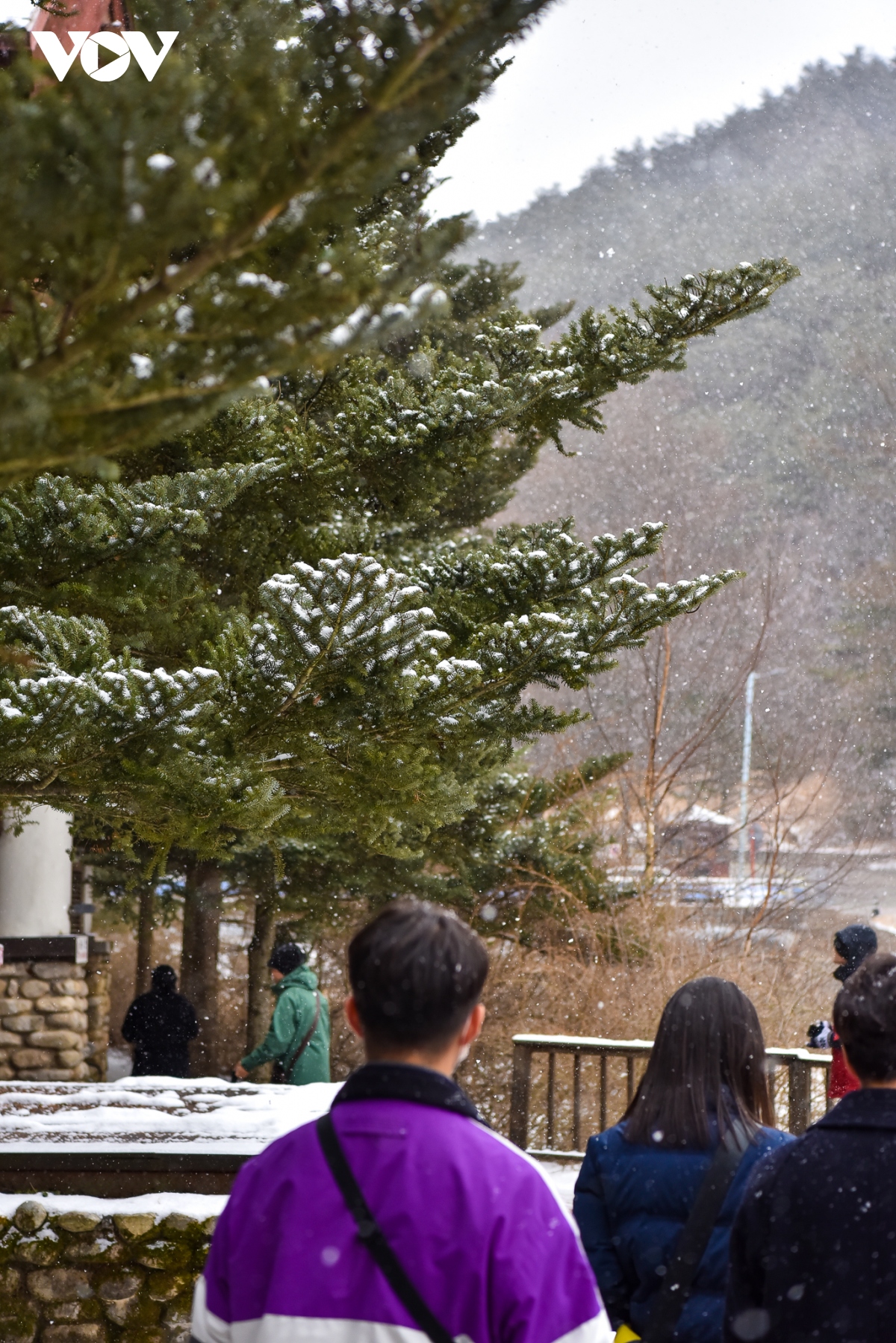 Say đắm mùa đông Gangwon, Hàn Quốc  - Ảnh 7.