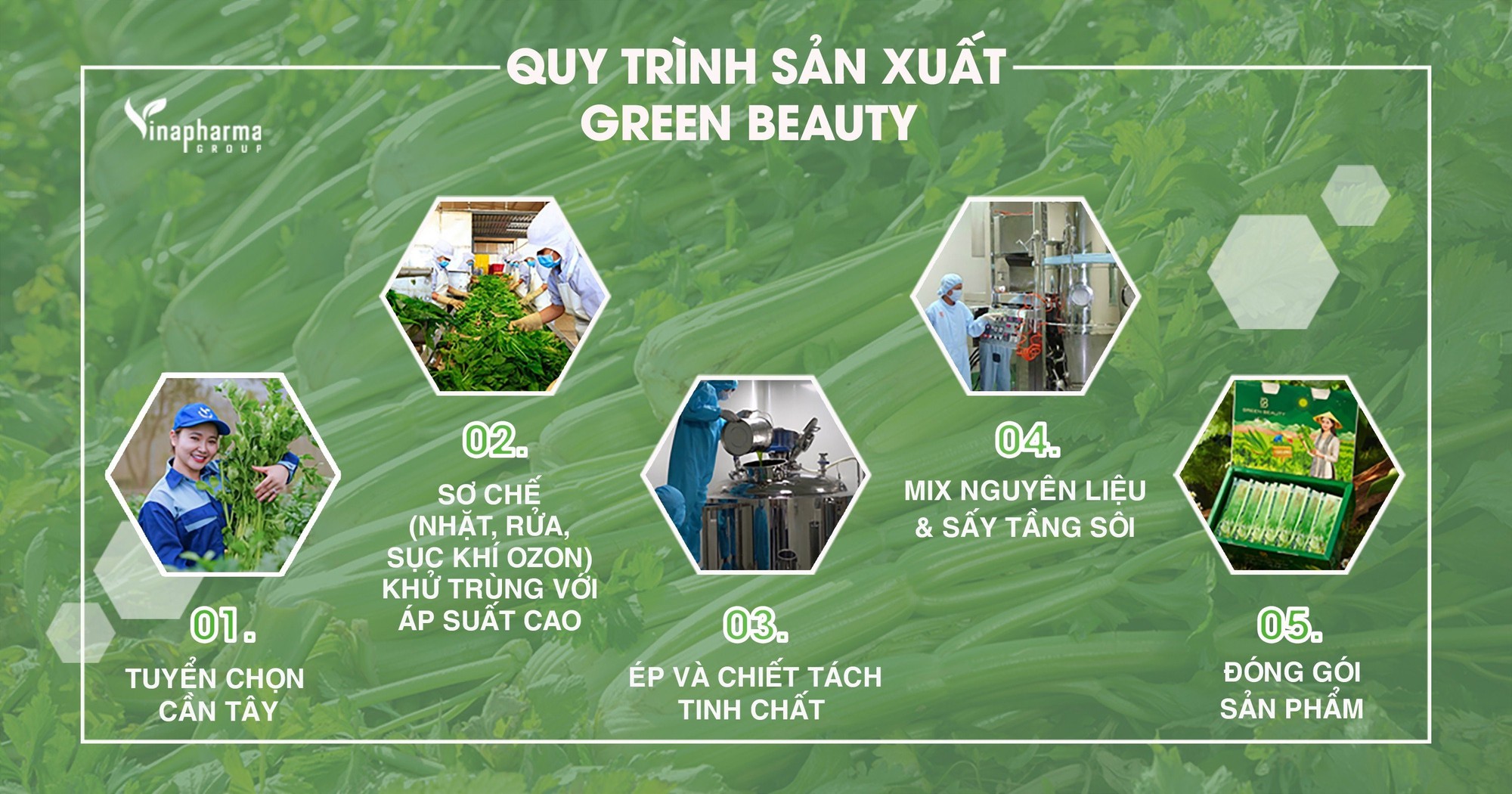 Green Beauty CẦN TÂY HÒA TAN xuất khẩu chính ngạch sang Trung Quốc - Ảnh 3.