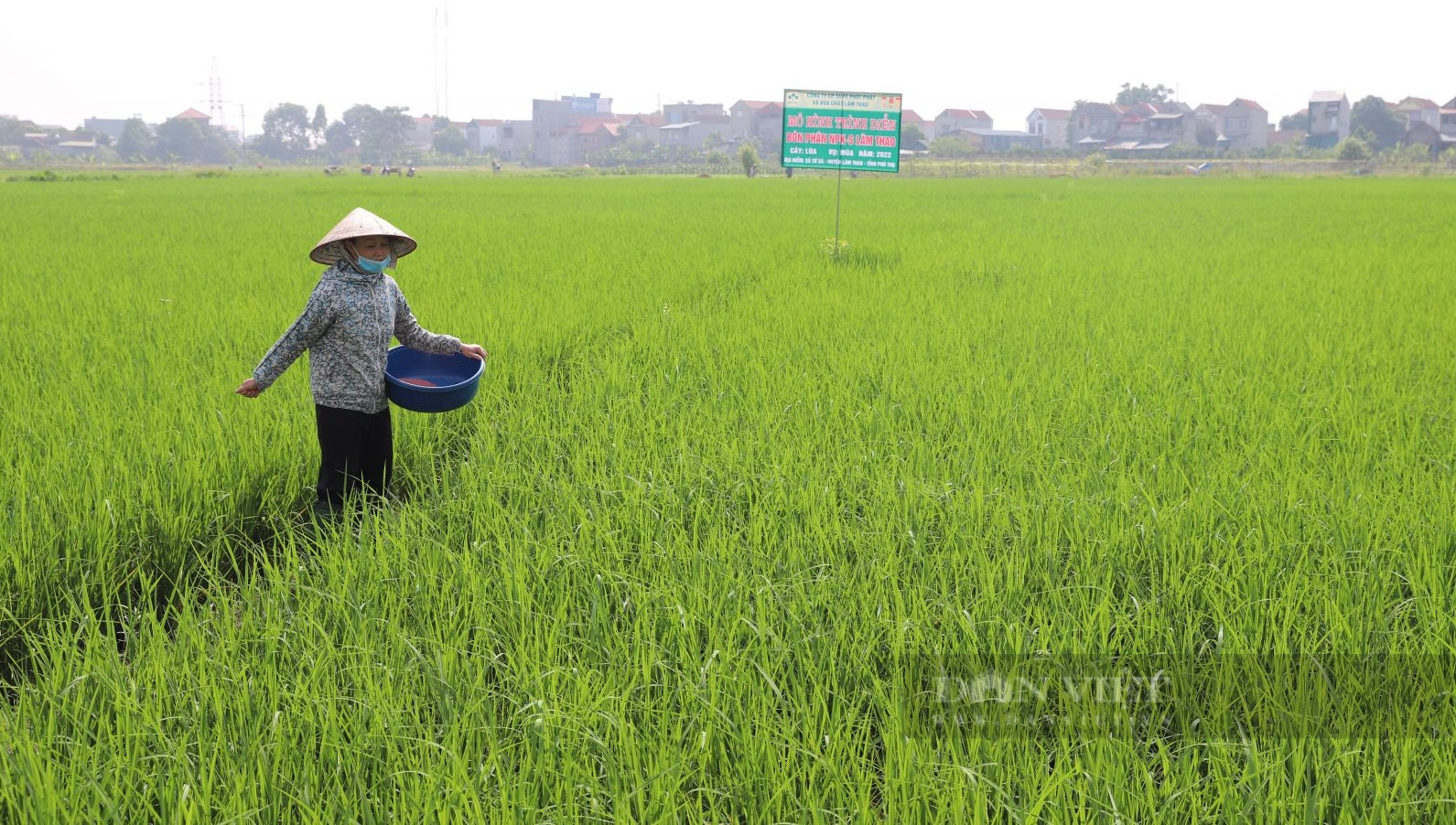 Phú Thọ cung ứng gần 6.500 tấn phân bón trả chậm cho nông dân - Ảnh 1.