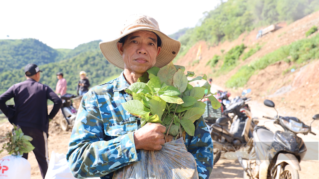 Đưa đồng bào vùng cao từng bước thoát nghèo - Ảnh 7.