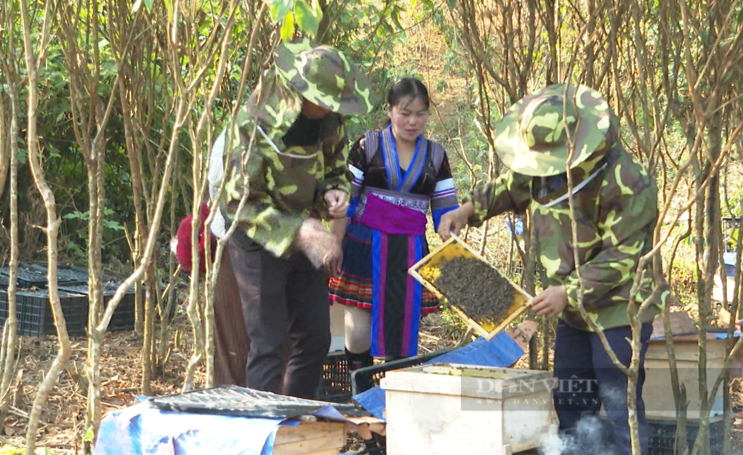 Nuôi ong lấy mật có áp dụng KHKT, thanh niên dân tộc thiểu số ở Phong Thổ của Lai Châu thoát nghèo - Ảnh 3.