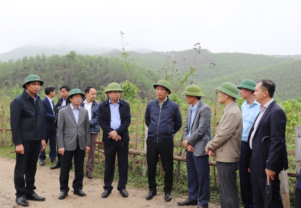 Trưởng Ban Kinh tế Trung ương Trần Tuấn Anh: Quảng Ninh cần kết hợp phát triển kinh tế rừng và biển - Ảnh 2.