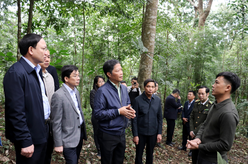 Trưởng Ban Kinh tế Trung ương Trần Tuấn Anh: Quảng Ninh cần kết hợp phát triển kinh tế rừng và biển - Ảnh 3.