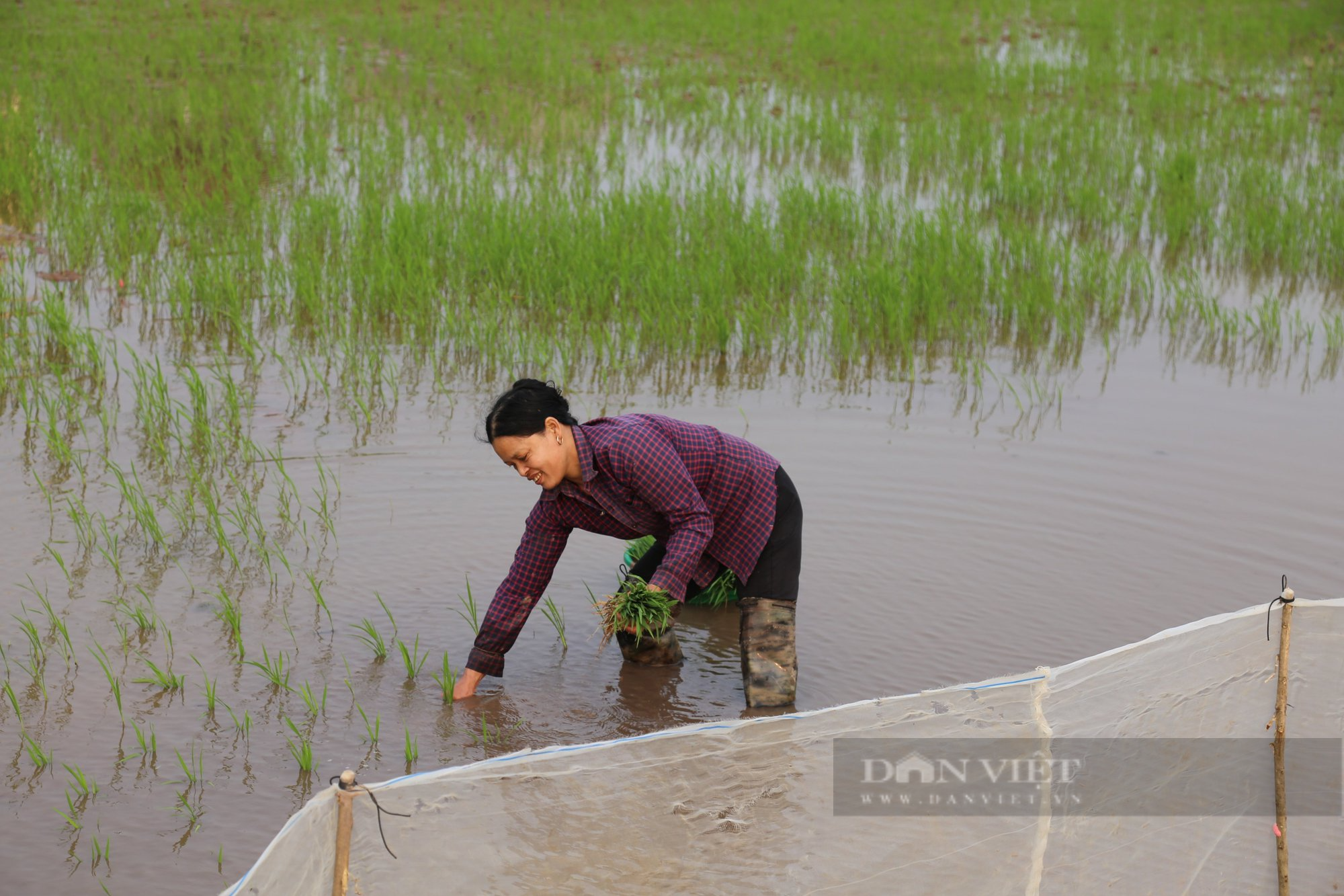 Gánh nặng “chồng bệnh, con thơ” trên vai người phụ nữ làm nông - Ảnh 1.