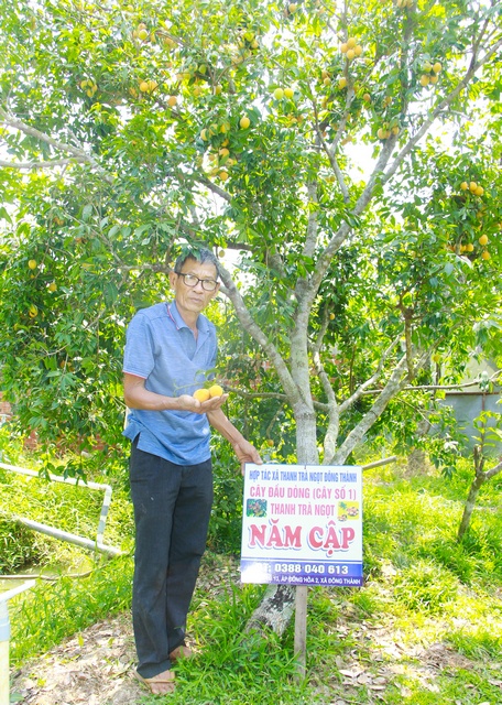 Một loại quả ngon đất Vĩnh Long, dù có không biết tên, chưa được nếm hễ thấy đều tứa nước miếng - Ảnh 1.