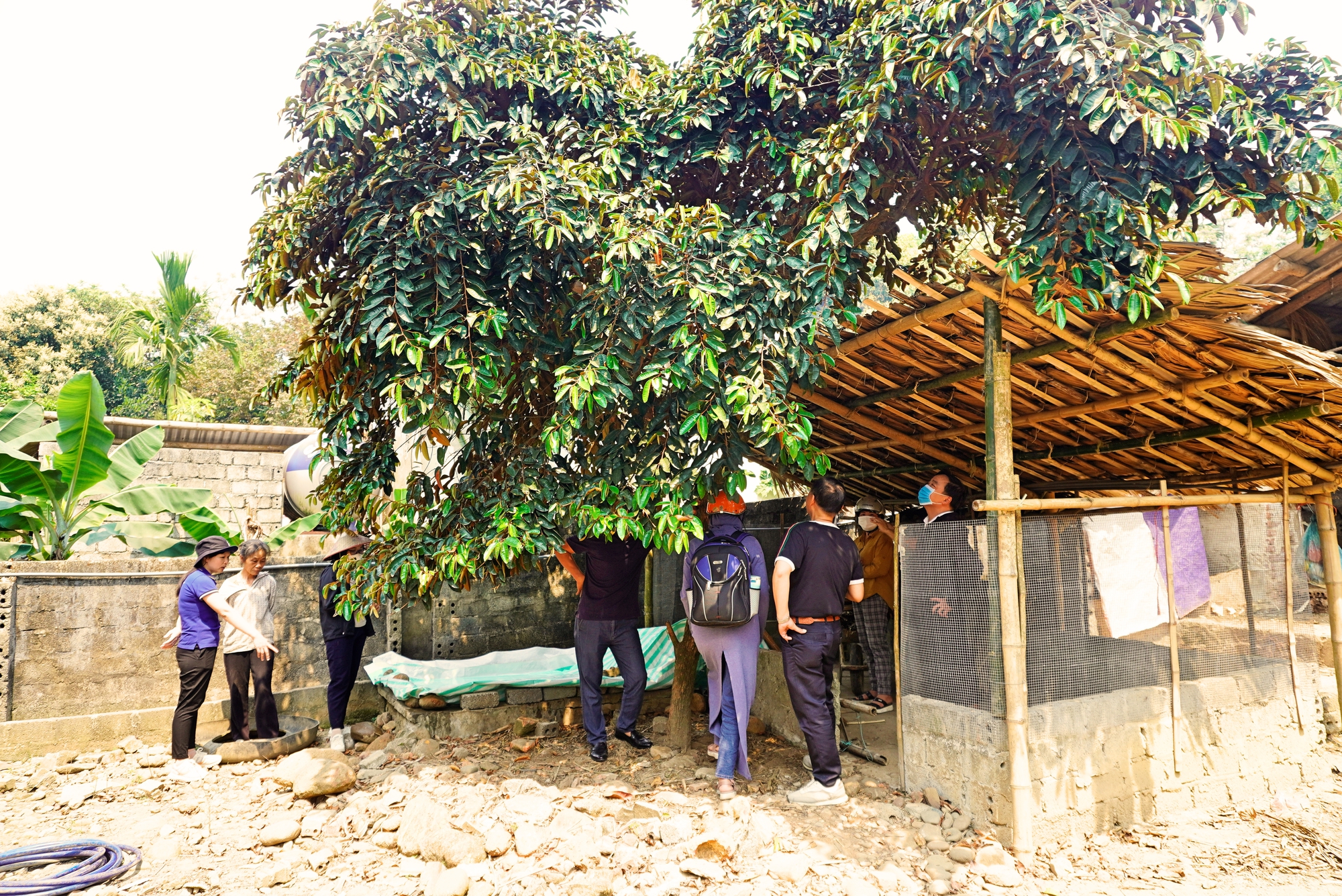 Chuyển giao kỹ thuật chăn nuôi vịt cho các hộ nghèo huyện Thường Xuân (Thanh Hóa) - Ảnh 3.