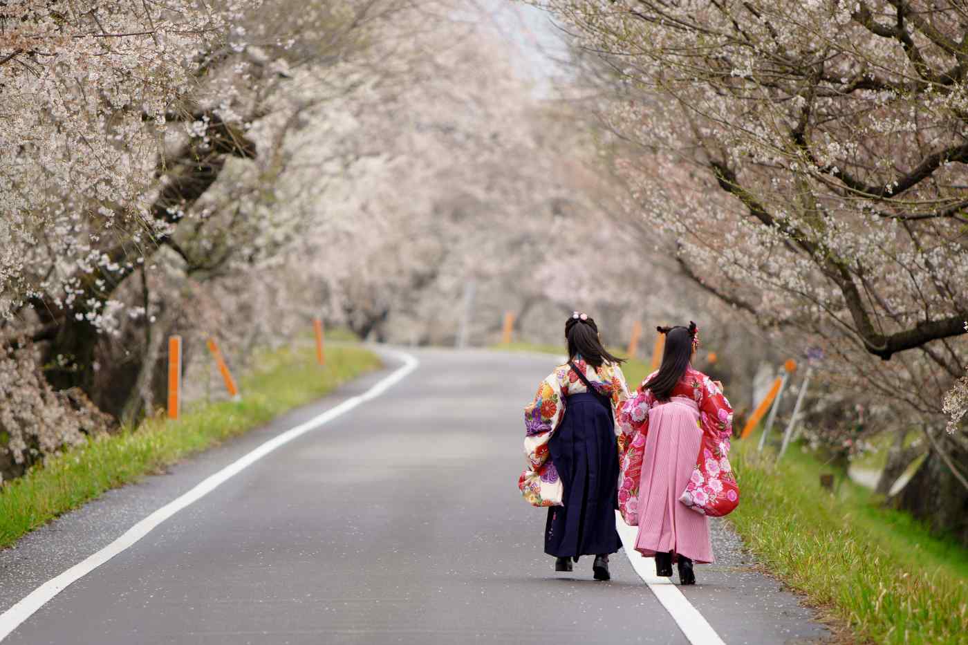 Nhật Bản: Thơ Haiku mai một vì trái đất nóng lên - Ảnh 1.