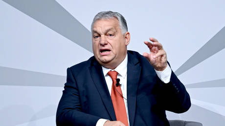 Thủ tướng Hungary tuyên bố châu Âu cần 'NATO' mà không có Mỹ - Ảnh 1.