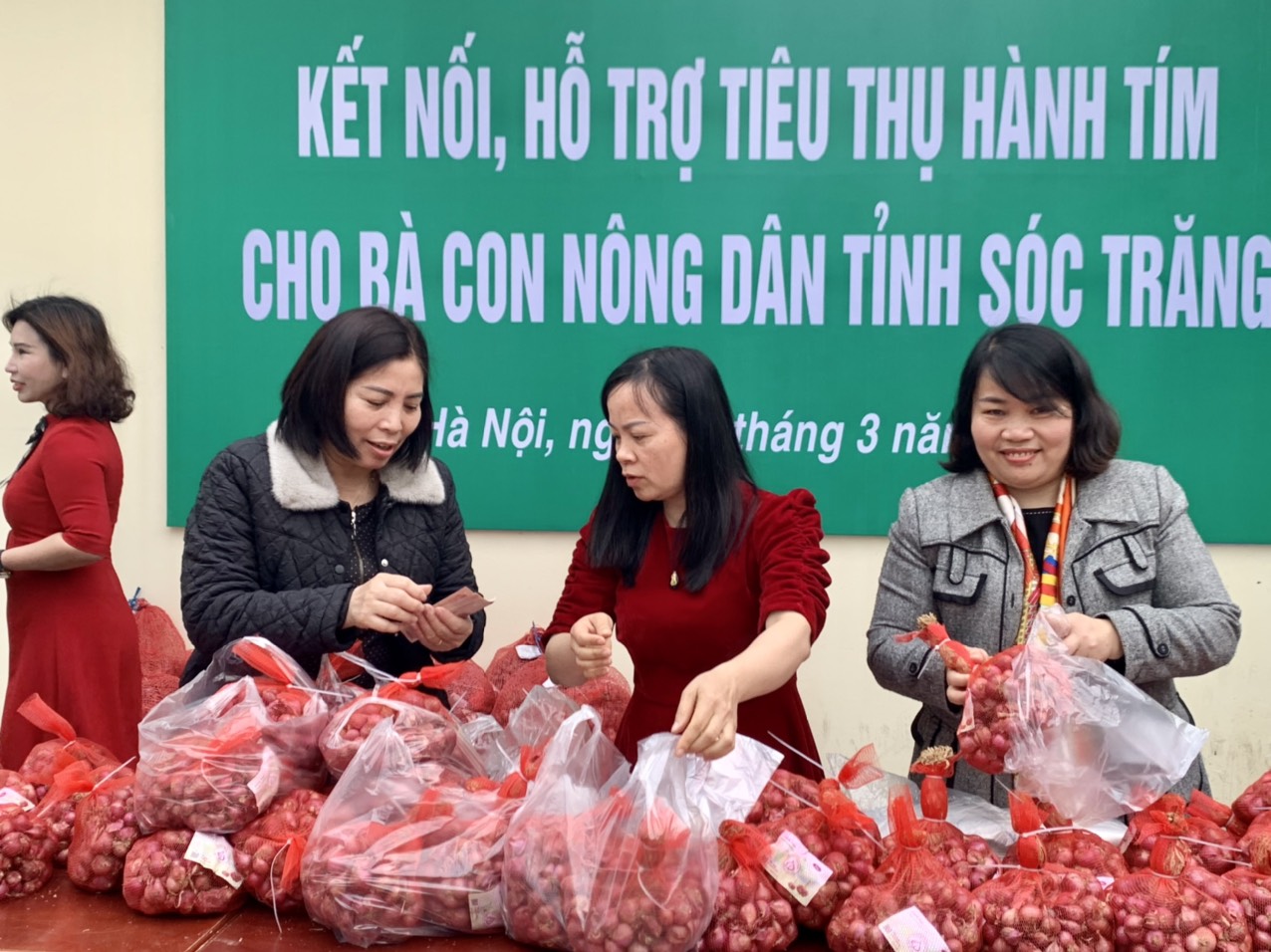 Hội Nông dân Việt Nam kết nối, hỗ trợ tiêu thụ hành tím cho bà con nông dân tỉnh Sóc Trăng - Ảnh 5.