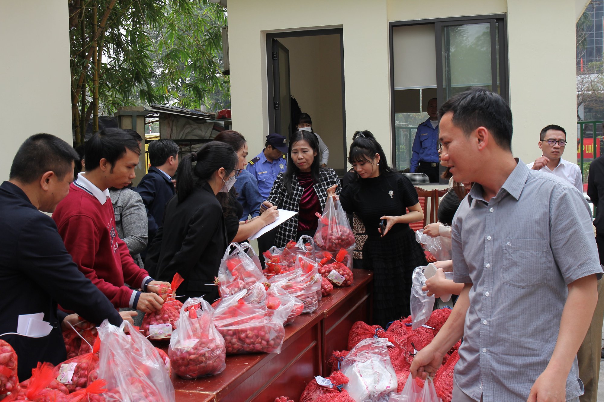 Hội Nông dân Việt Nam kết nối, hỗ trợ tiêu thụ hành tím cho bà con nông dân tỉnh Sóc Trăng - Ảnh 4.