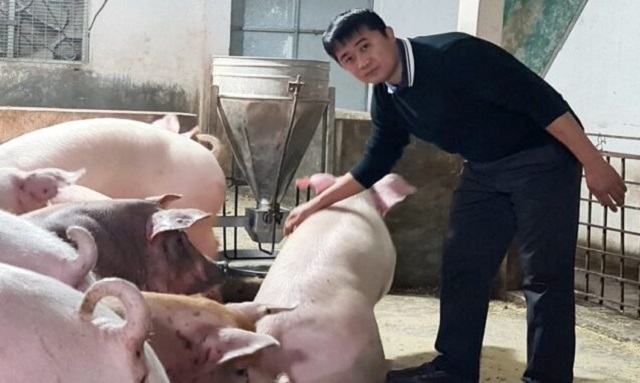 Nuôi toàn giống lợn lạ, cho ăn thêm thảo dược ở Bắc Giang, thịt ra là bán hết sạch, một HTX thu 25 tỷ - Ảnh 1.