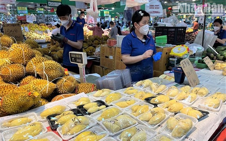 Kỳ vọng sầu riêng trở thành trái cây tỷ USD xuất khẩu sang Trung Quốc - Ảnh 2.