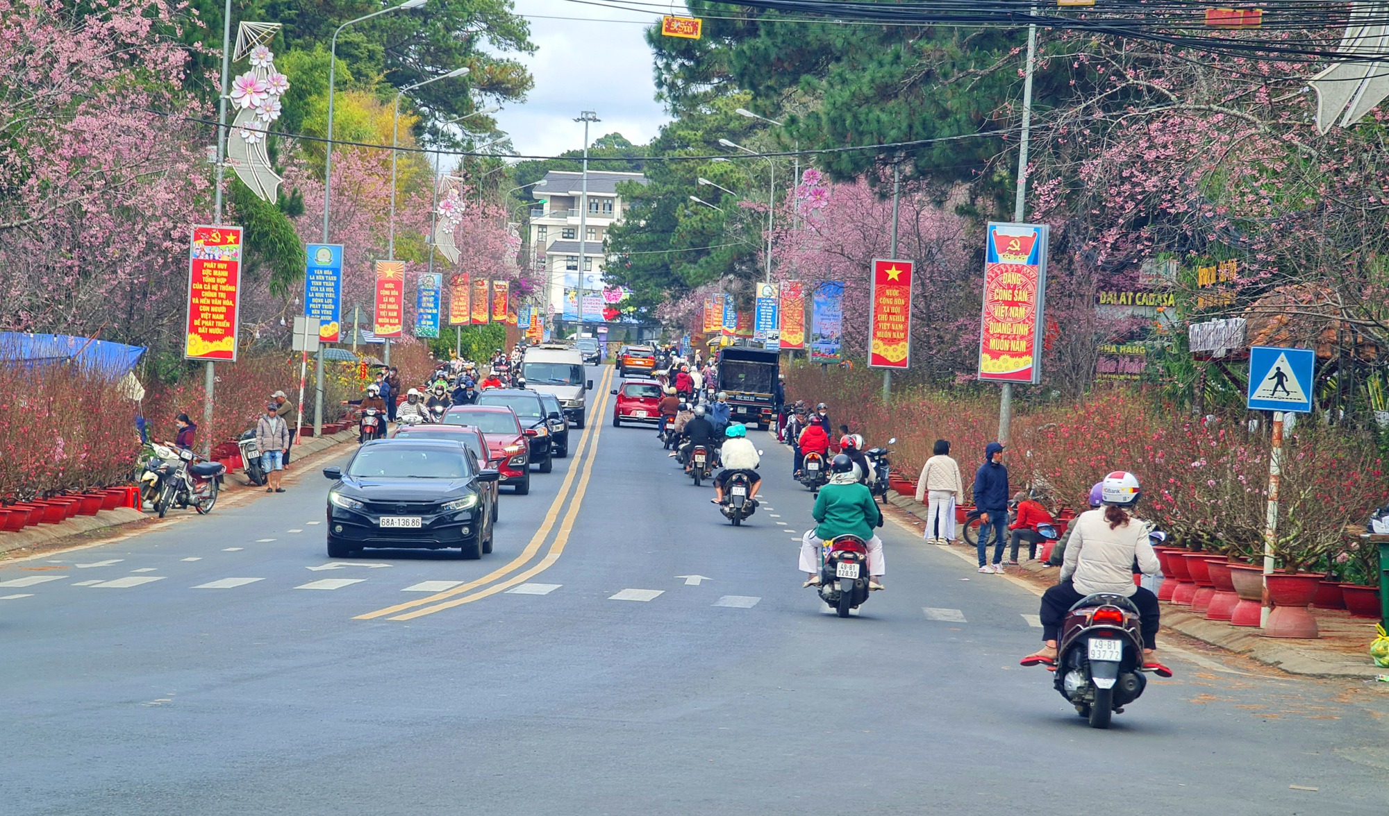 Xây dựng nông thôn mới ở TP.Đà Lạt: Người dân hiến đất tiền tỷ để làm đường sạch đẹp - Ảnh 6.