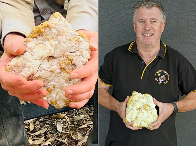 Bất ngờ tìm thấy cục đá chứa lượng vàng khổng lồ - Ảnh 1.