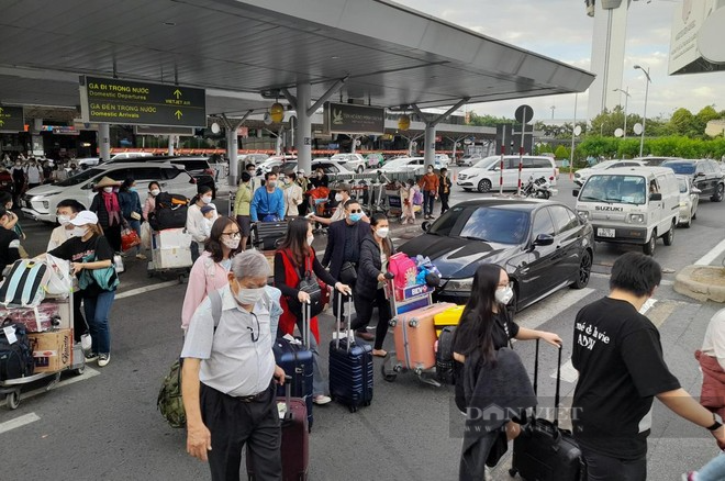 Hàng trăm lái xe 7 hãng taxi ‘khóc thét’ vì phí đón khách ở sân bay Tân Sơn Nhất quá cao - Ảnh 1.