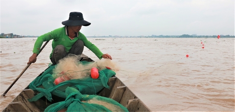Dòng sông Cổ Chiên nổi tiếng đất Vĩnh Long, dân bơi thuyền tung lưới lùa bắt thứ &quot;cá nhà nghèo&quot; làm đặc sản - Ảnh 2.