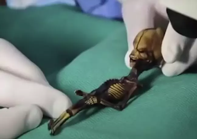 Sự thật về bộ xương người ngoài hành tinh tí hon tại Chile - Ảnh 1.
