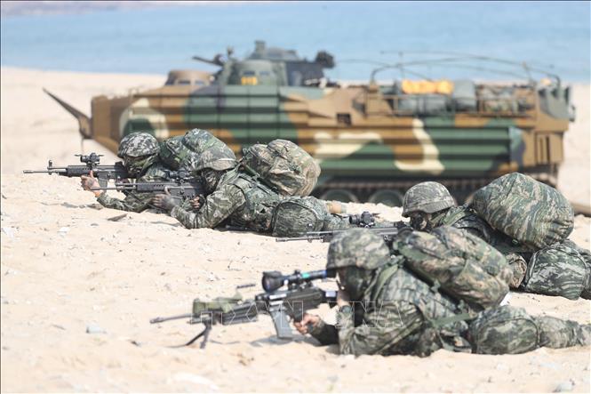 Cận cảnh cuộc tập trận đổ bộ quy mô lớn của Hàn Quốc và Mỹ - Ảnh 4.