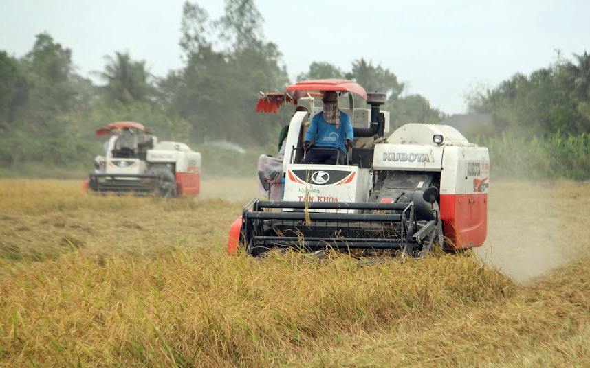 Địa phương duy nhất nào ở miền Tây không tham gia đề án 1 triệu ha lúa chất lượng cao?