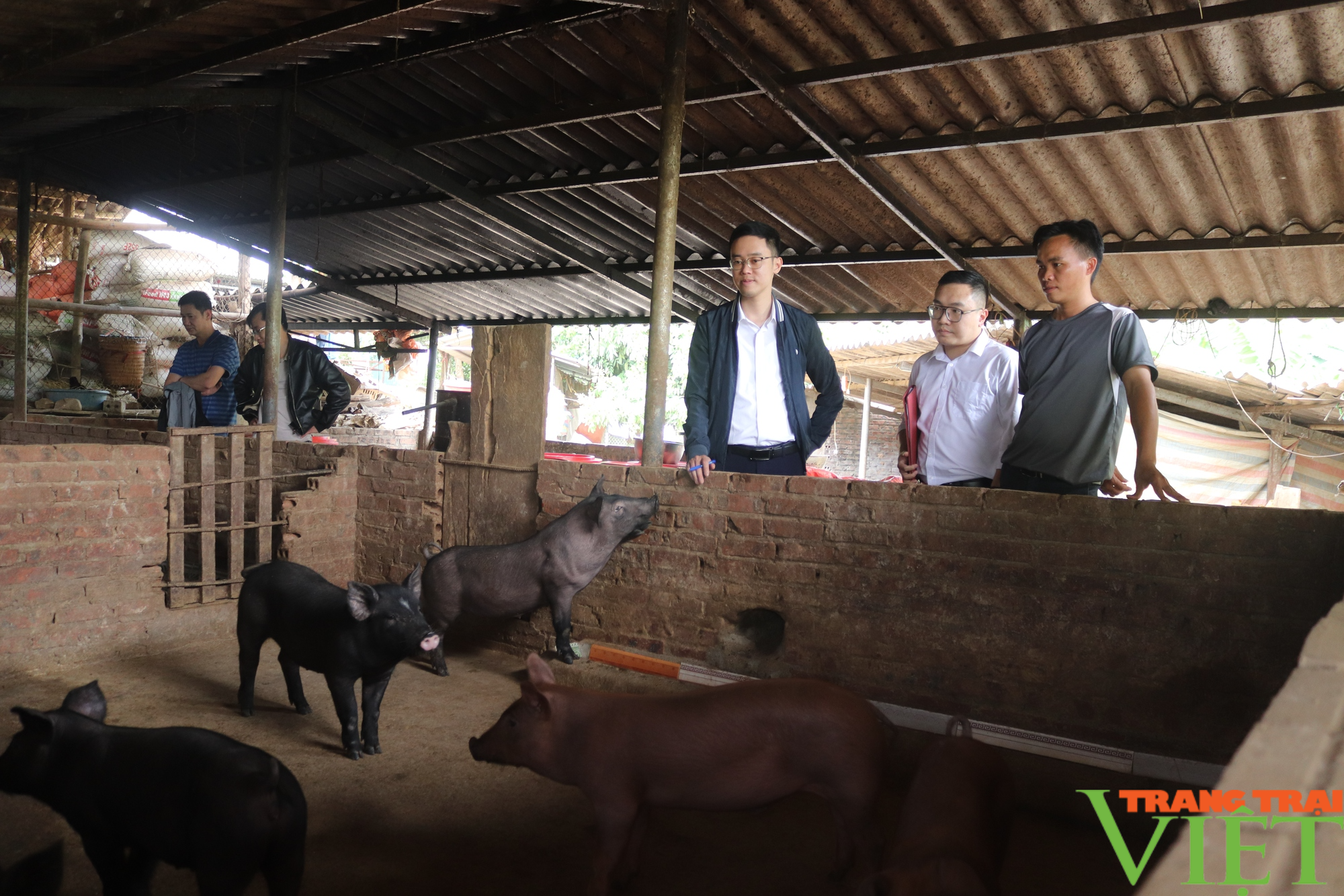 Agribank Chi nhánh huyện Bắc Yên đồng hành cùng nông dân làm giàu - Ảnh 2.