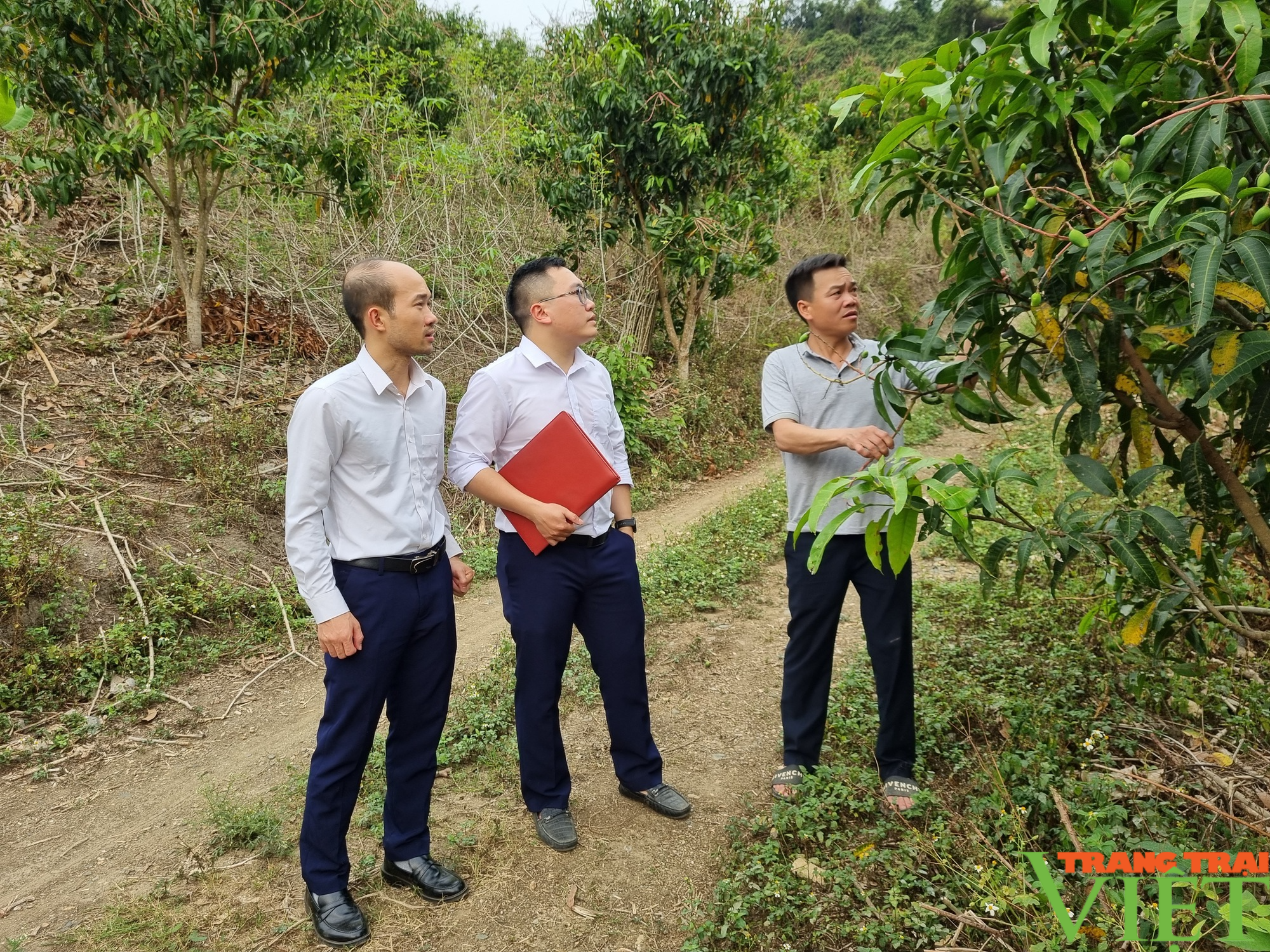 Agribank Chi nhánh huyện Bắc Yên đồng hành cùng nông dân làm giàu - Ảnh 5.