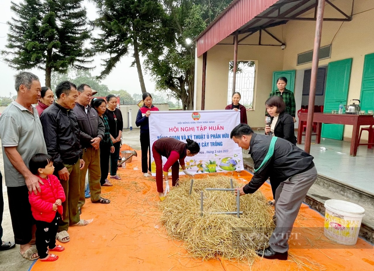 Ninh Bình: Tập huấn xử lý rơm rạ thành phân hữu cơ cho hơn 300 nông dân - Ảnh 2.