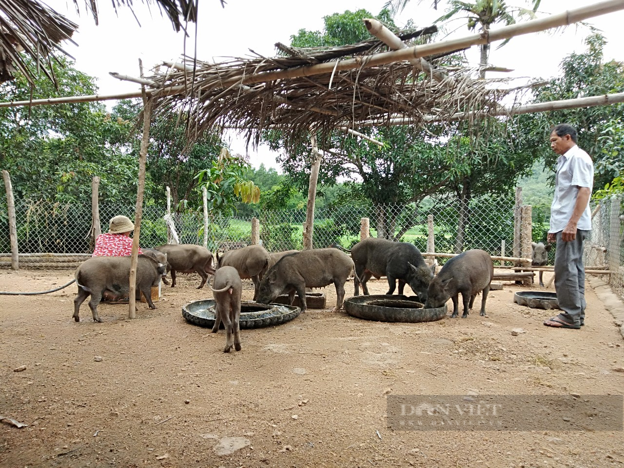 100% cơ sở Hội Nông dân tại Phú Yên đã hoàn thành Đại hội nhiệm kỳ 2023 - 2028 - Ảnh 1.