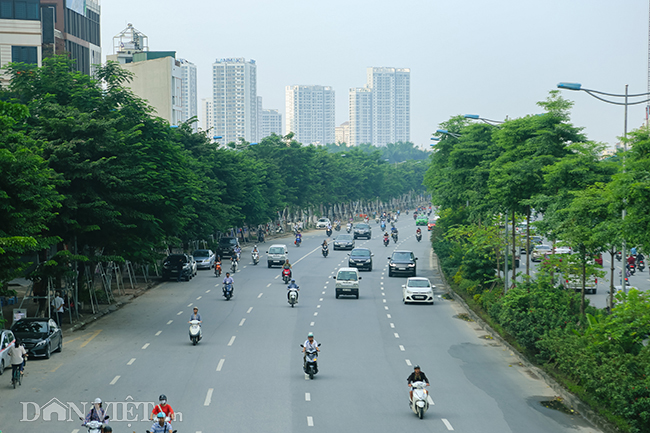 Vụ án ông Nguyễn Đức Chung: Đường đi từ Trung Quốc về Việt Nam của 5.300 cây xanh nhập lậu - Ảnh 2.