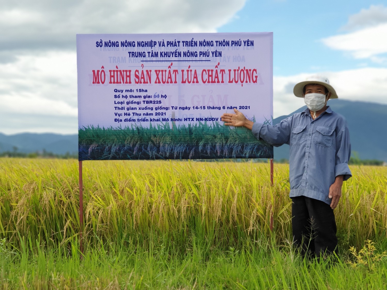 Bộ Công Thương nói nông dân trồng lúa lãi 100%: Chuyên gia chỉ rõ làm lúa rất khó - Ảnh 1.