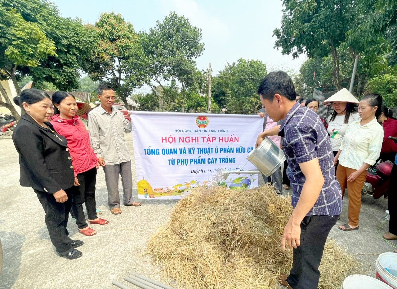 Ninh Bình: Tập huấn xử lý rơm rạ thành phân hữu cơ cho hơn 300 nông dân - Ảnh 3.