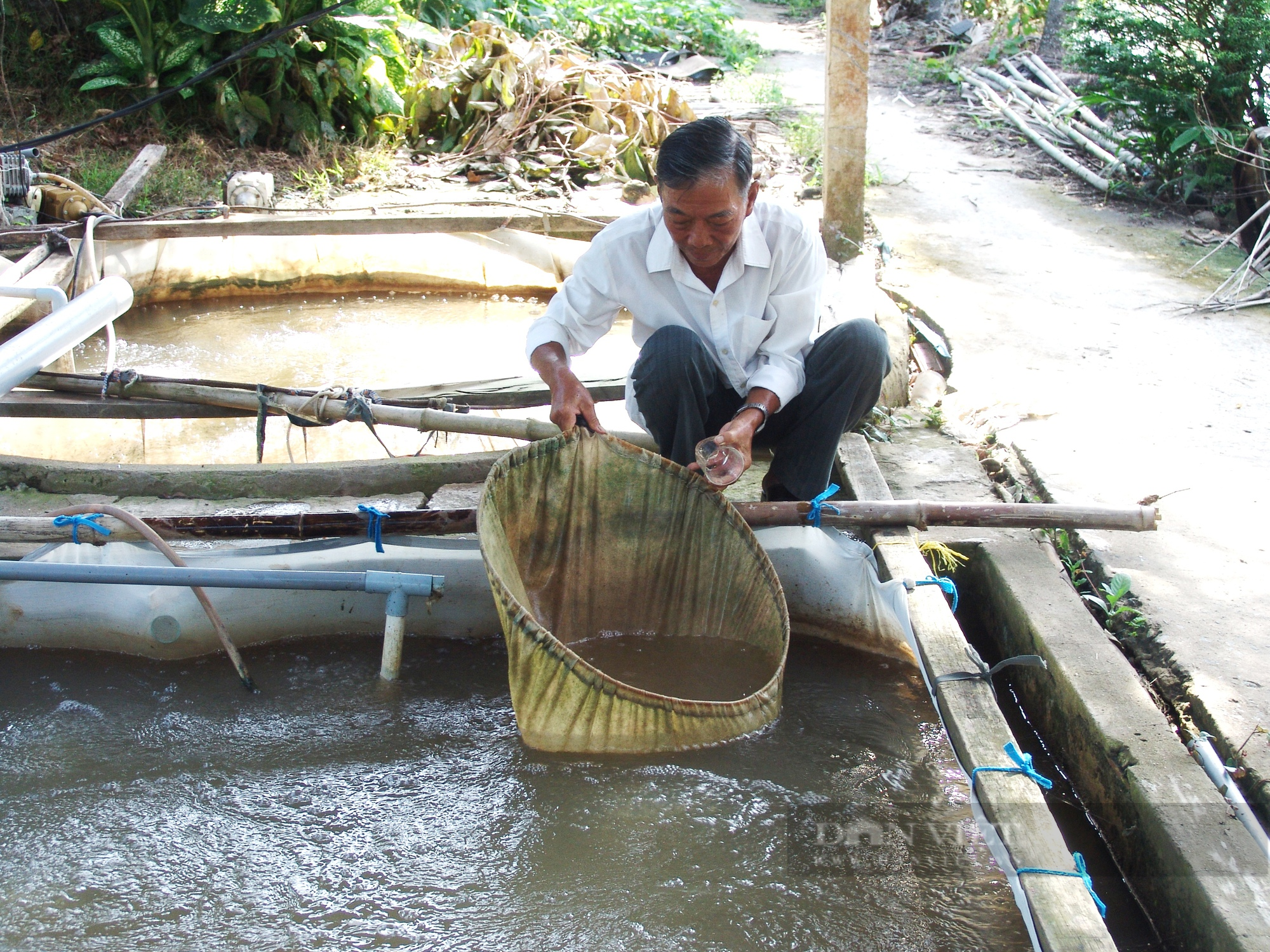 Từ chỗ chạy ăn từng bữa, nông dân xóm này trở thành tỷ phú nhờ ương thành công loại cá đặc sản sắp tuyệt chủng - Ảnh 1.