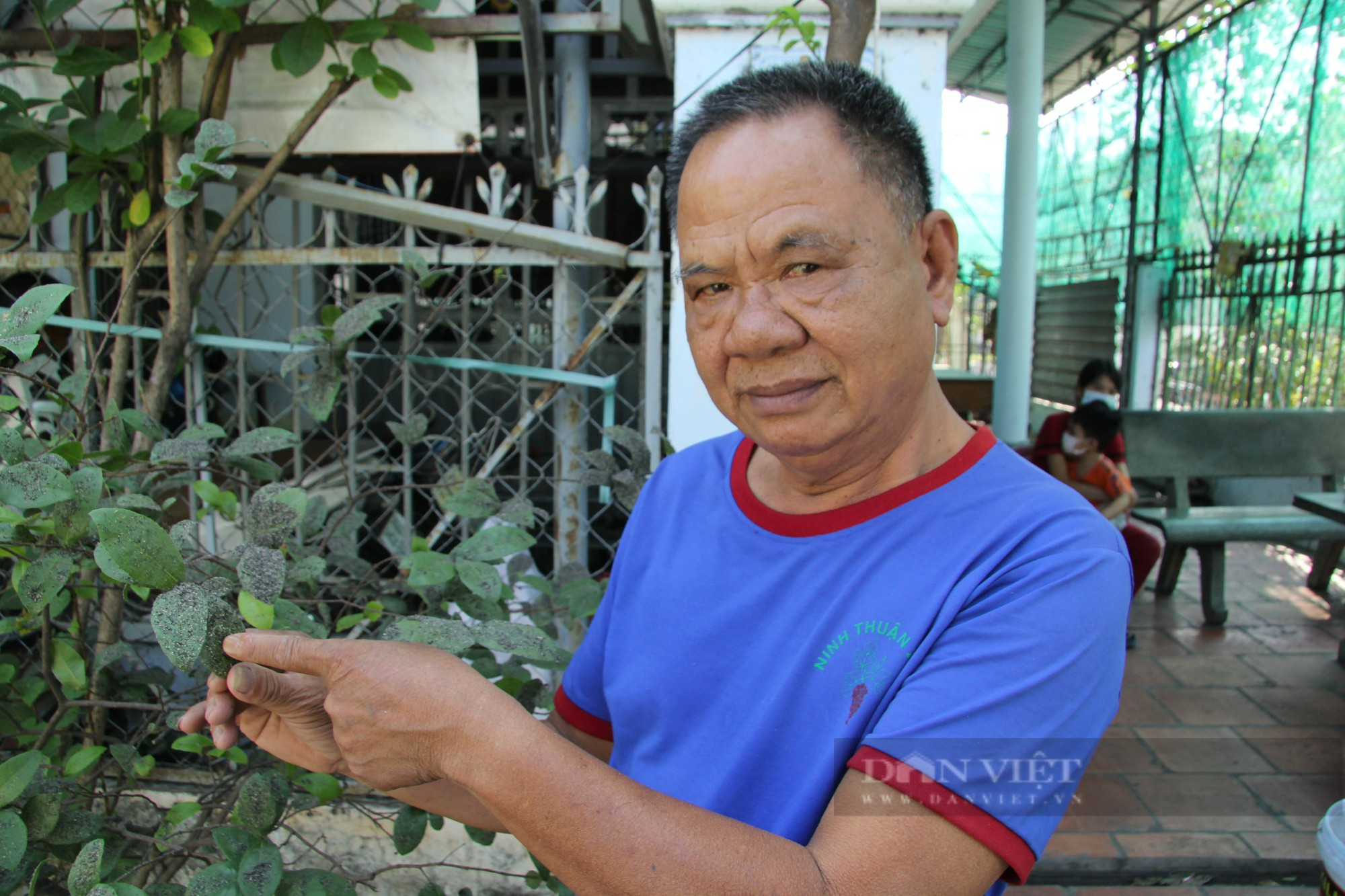 Dân kêu cứu vì “bão bụi” từ nhà máy mía đường ở Ninh Thuận - Ảnh 5.