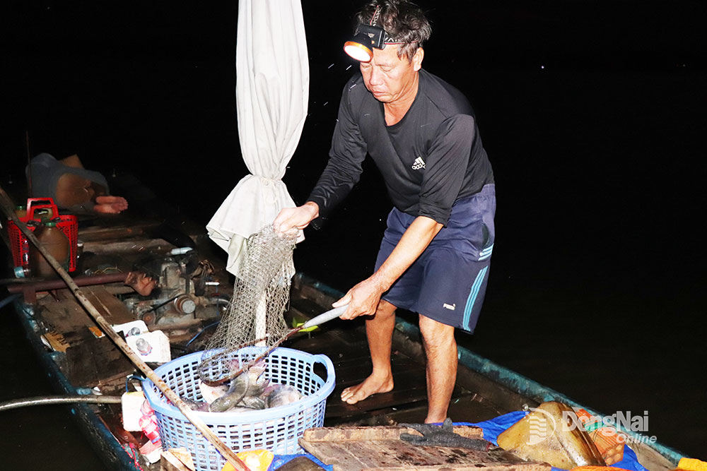 Đồng Nai: Chợ cá bên hồ nước nhân tạo lớn nhất, nhì Việt Nam, dưới nước có con gì, trên bờ có con đó - Ảnh 1.