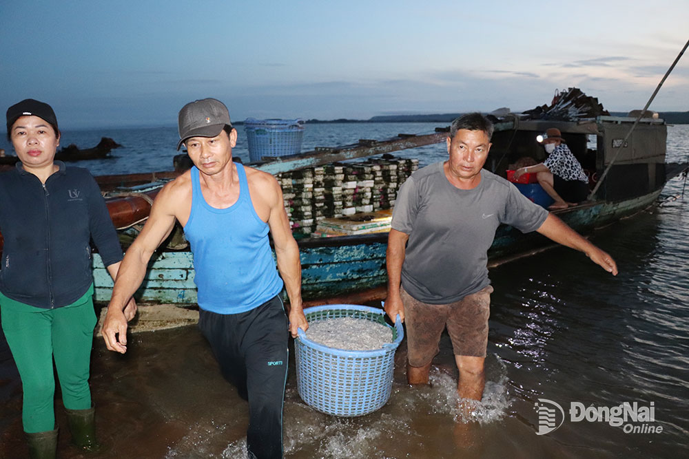 Đồng Nai: Chợ cá bên hồ nước nhân tạo lớn nhất, nhì Việt Nam, dưới nước có con gì, trên bờ có con đó - Ảnh 4.
