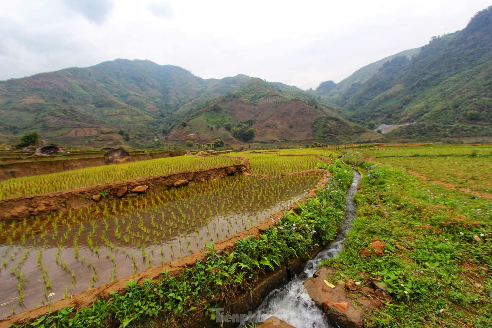 Mê mẩn khung cảnh thần tiên của 'rừng đào mười dặm' trên đường đến Lai Châu - Ảnh 13.