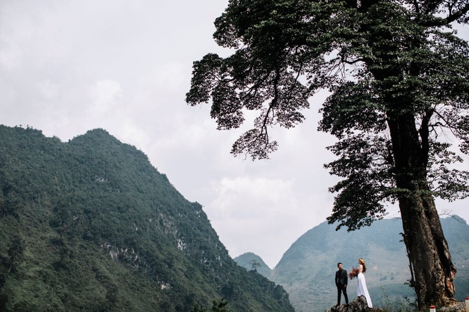 Ở Hà Giang có một trong những &quot;cây cô đơn&quot; đẹp nhất Việt Nam có tuổi đời 250 năm, 5 người ôm không xuể - Ảnh 5.