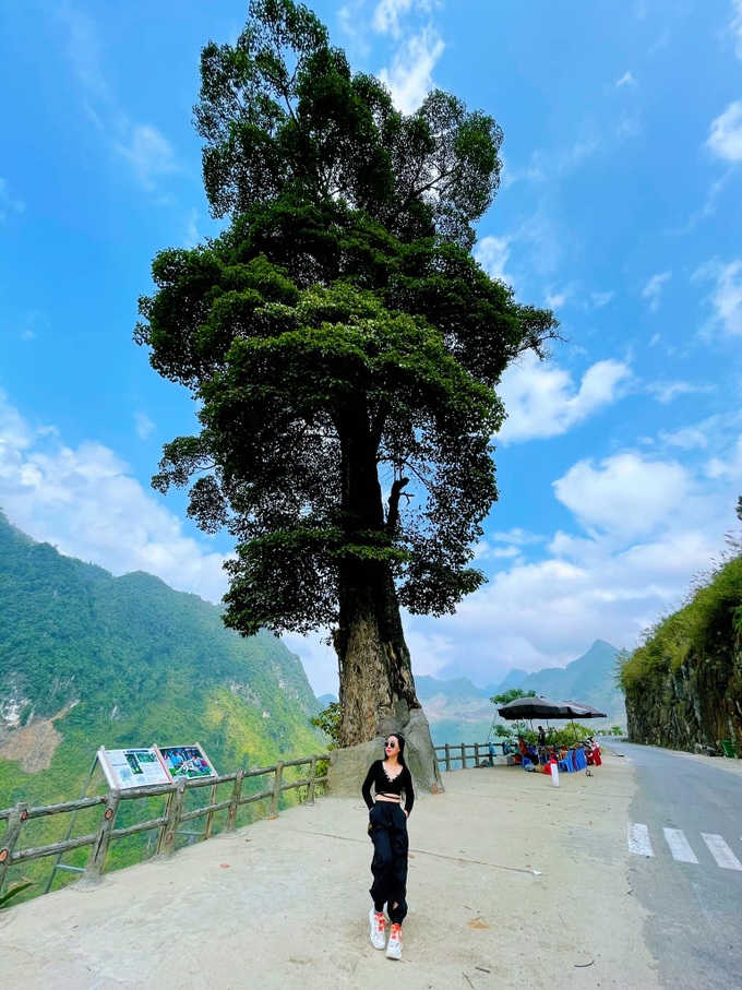 Ở Hà Giang có một trong những &quot;cây cô đơn&quot; đẹp nhất Việt Nam có tuổi đời 250 năm, 5 người ôm không xuể - Ảnh 6.