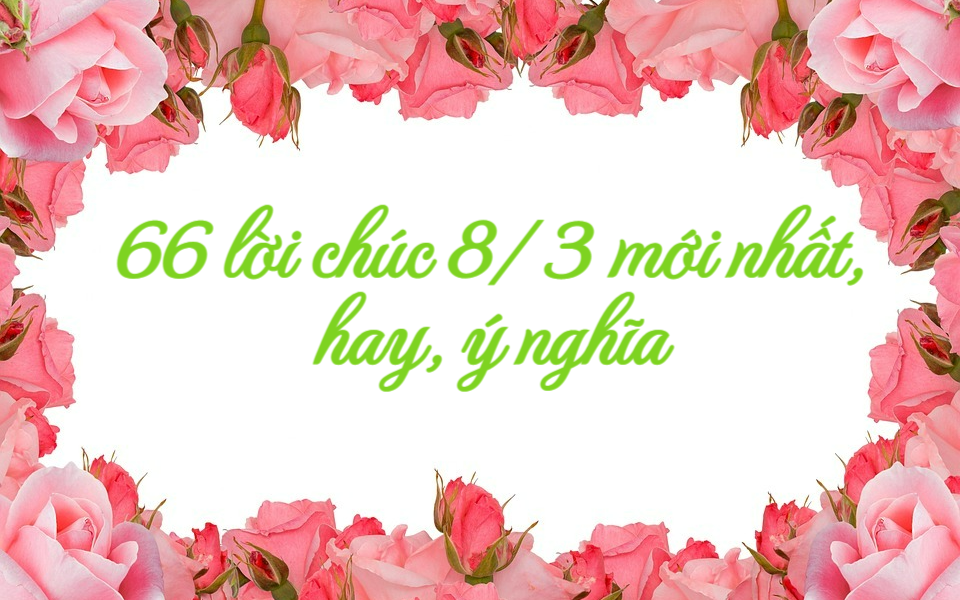 66 lời chúc 8/3 mới nhất, hay, ý nghĩa và tình cảm dành cho những người phụ  nữ bạn yêu quý