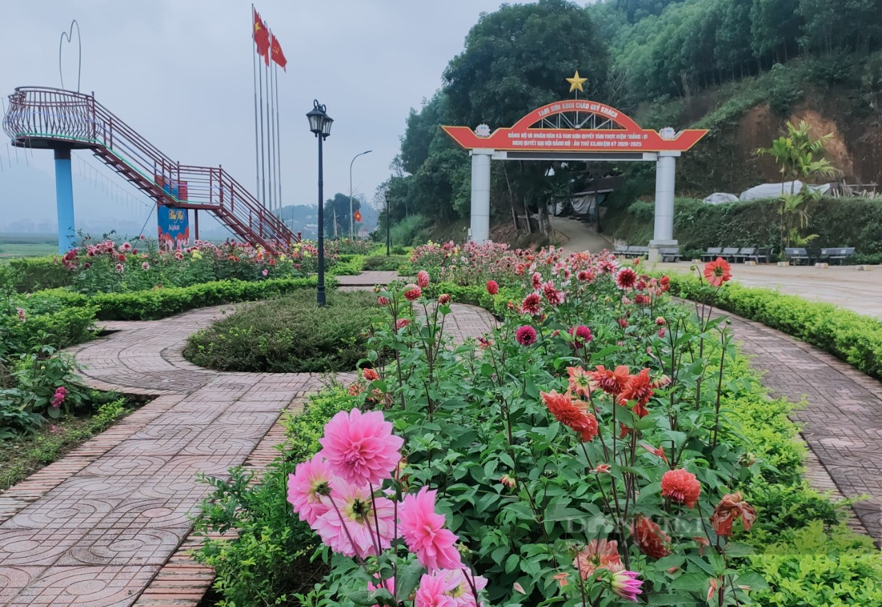 Phụ nữ ở huyện này của Nghệ An hò nhau góp tiền trồng vườn hoa, đường cây chuỗi ngọc đẹp như phim - Ảnh 1.
