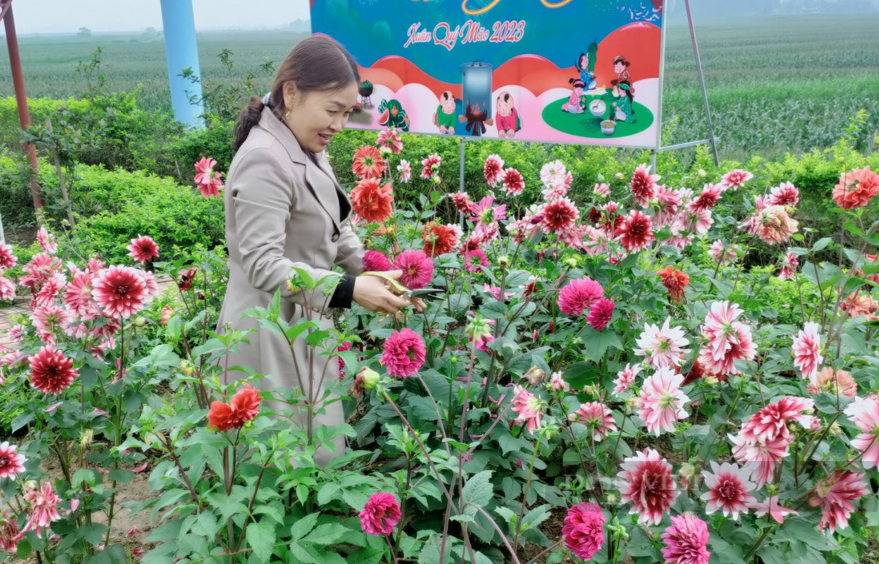 Phụ nữ ở huyện này của Nghệ An hò nhau góp tiền trồng vườn hoa, đường cây chuỗi ngọc đẹp như phim - Ảnh 3.