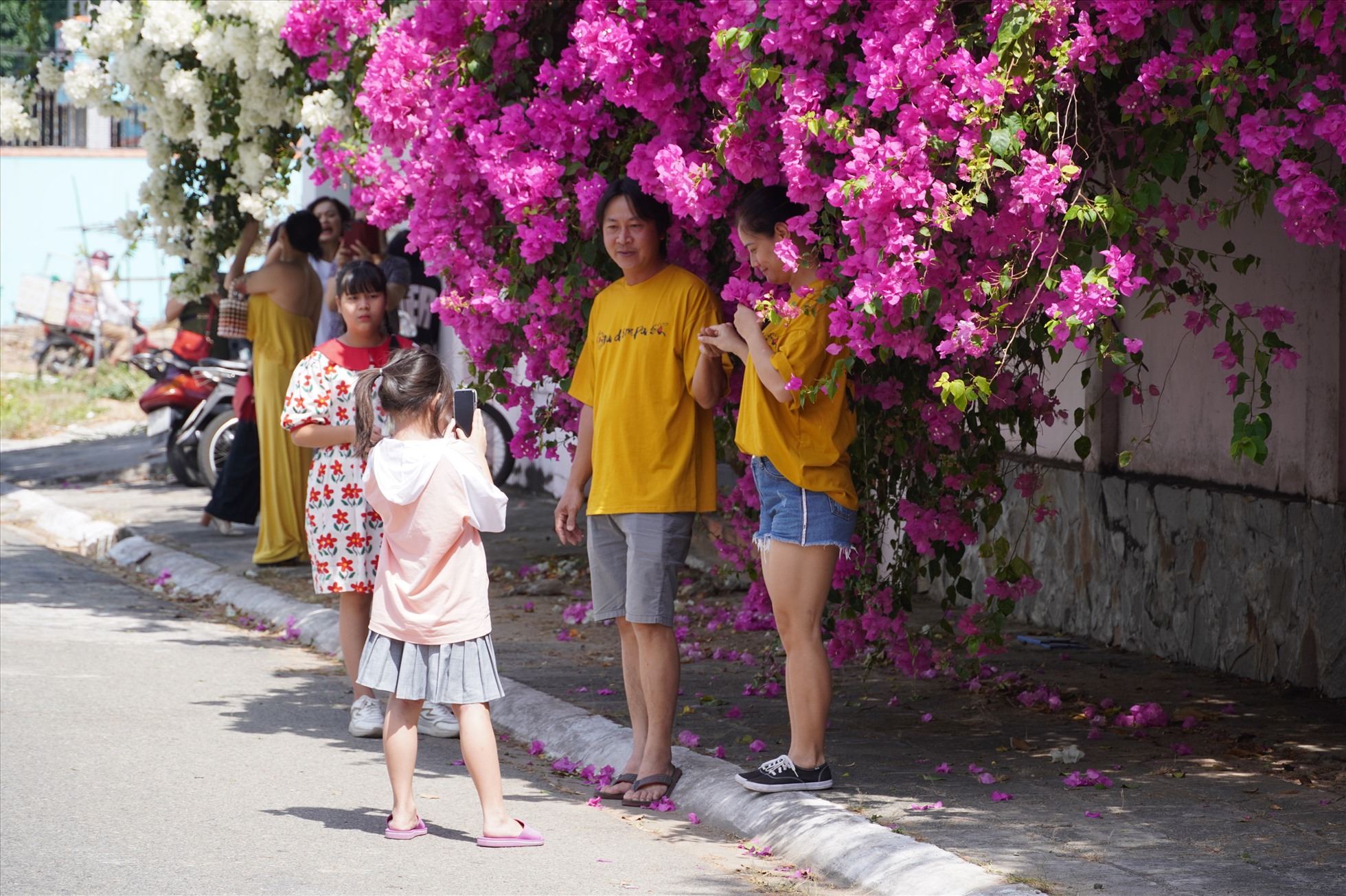 Đây là hẻm hoa giấy tuôn nở miên man đang gây sốt mạng xã hội ở TP Vũng Tàu - Ảnh 9.