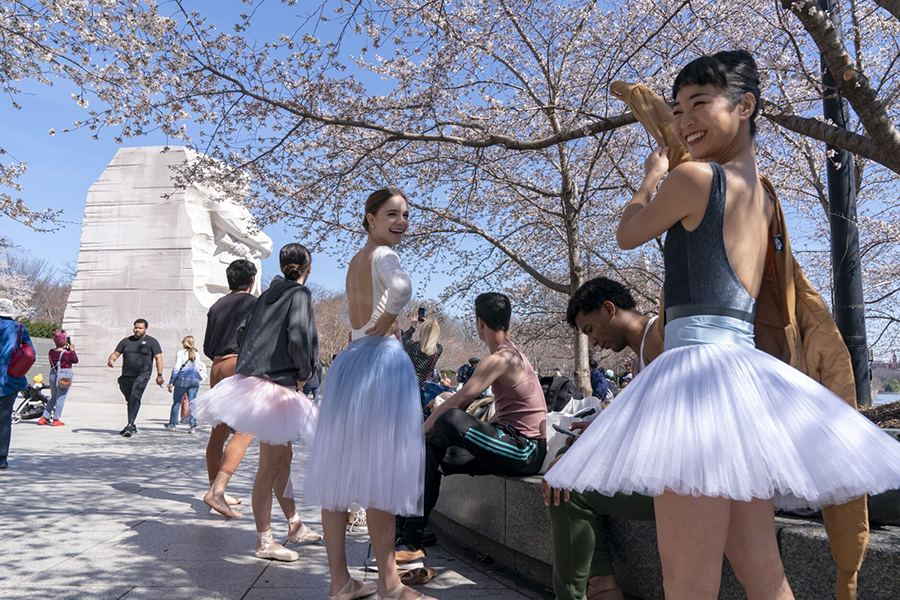 Mỹ: Lễ hội Hoa anh đào Washington trở lại, thu hút khoảng 1,6 triệu du khách - Ảnh 6.